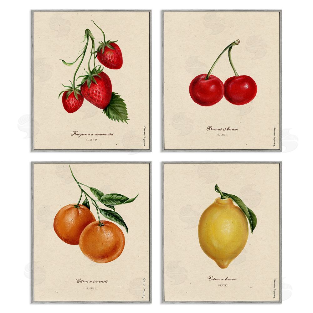 Courtney Davis Inc Vintage Fruit Portraits Gray Framed Giclee Wall Art Print