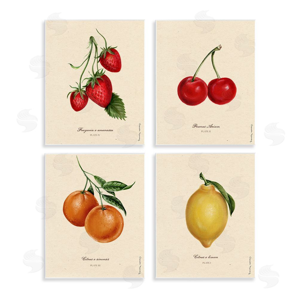 Courtney Davis Inc Vintage Fruit Portraits Wall Plaque Printed Art