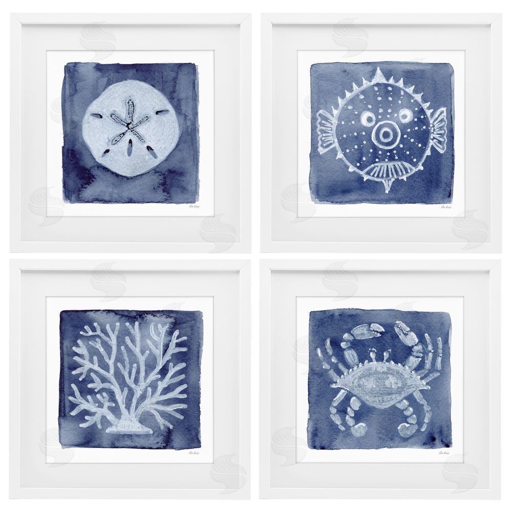 Patti Bishop Aquatic Creatures on Indigo White Framed Print Under Glass Wall Art