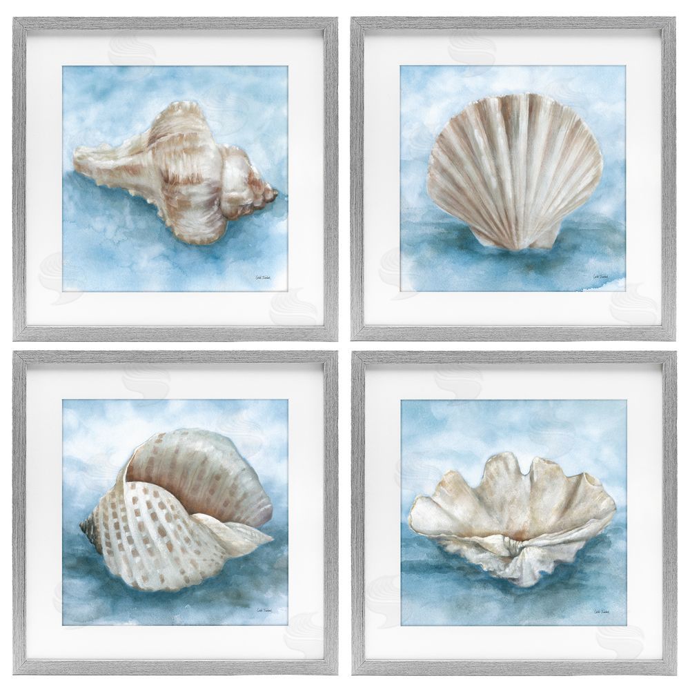 Leslie Trimbach Coastal Calm Collection Gray Framed Print Under Glass Wall Art