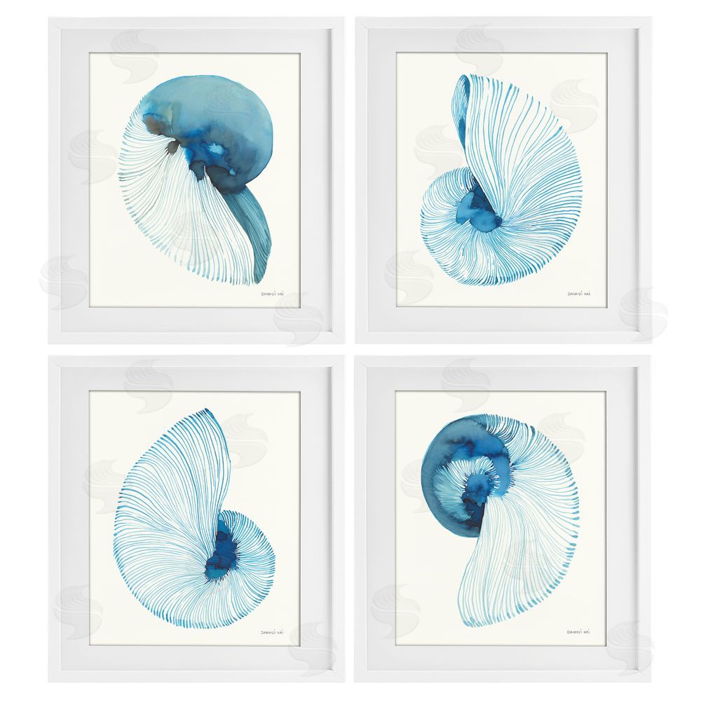 Danhui Nai Blue Toned Nautilus Shells White Framed Print Under Glass Wall Art