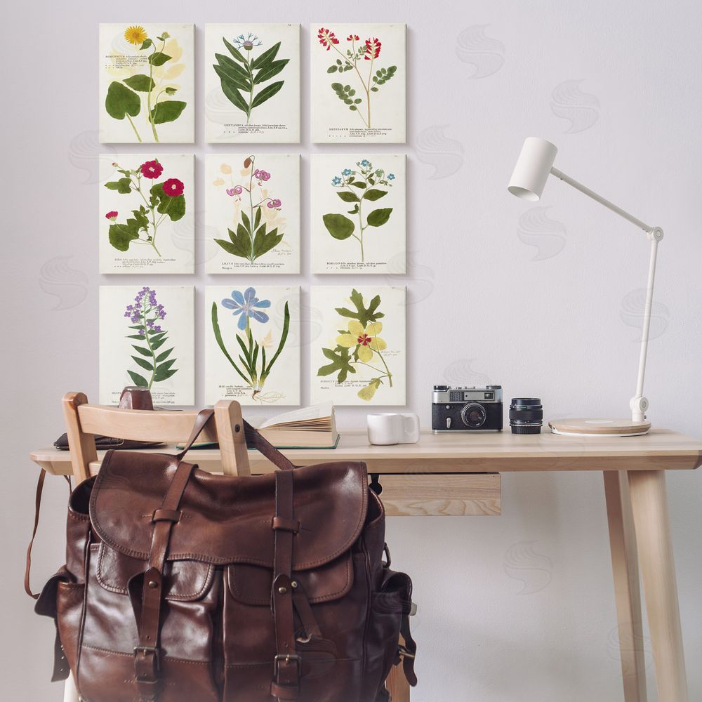 Vision Studio Latin Botanical Flower Study Vintage Illustrations Canvas Wall Art Print in Room