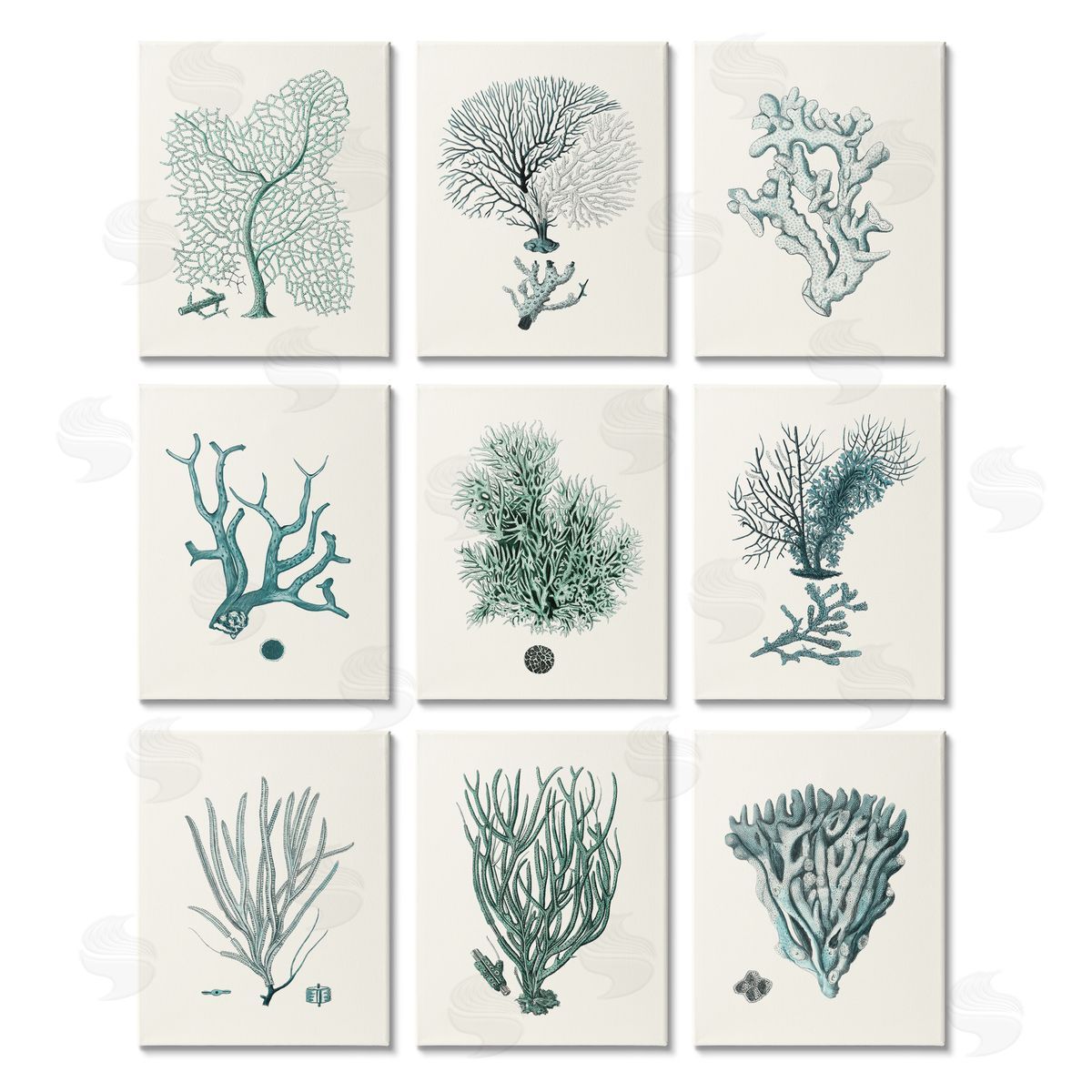 Johann Esper Deep Sea Coral Arrangement Plant Life Canvas Wall Art Print