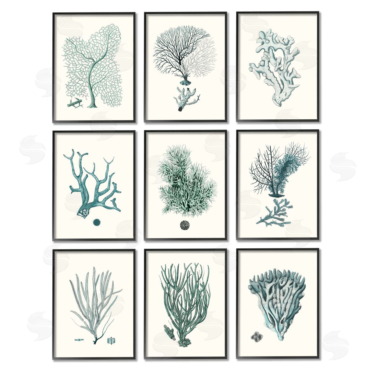 Johann Esper Deep Sea Coral Arrangement Plant Life Black Framed Giclee Wall Art Print