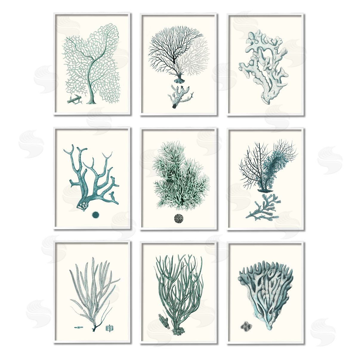 Johann Esper Deep Sea Coral Arrangement Plant Life White Framed Giclee Wall Art Print