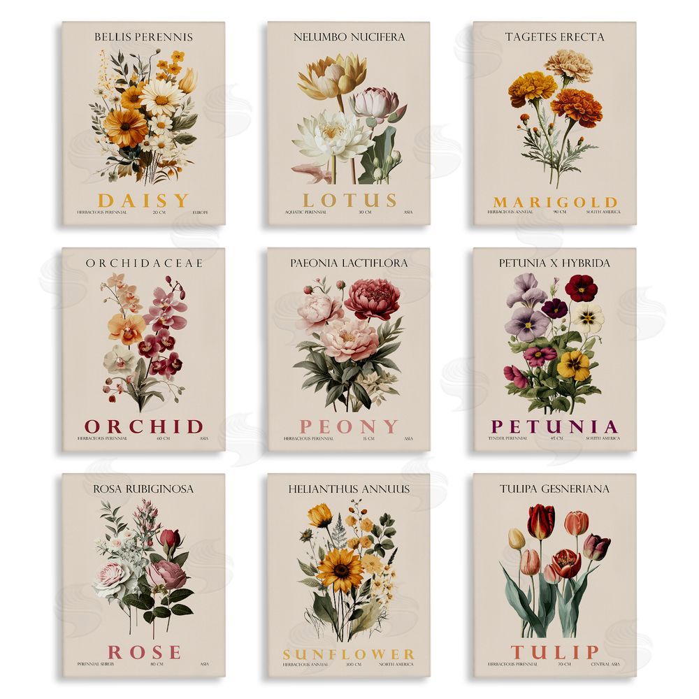 Christopher Giampietro Nature Botanicals Bundles Stretched Canvas Wall Art