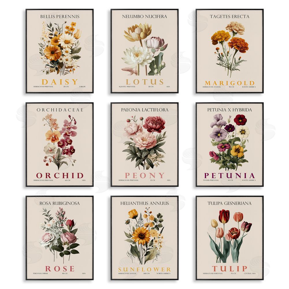 Christopher Giampietro Nature Botanicals Bundles Black Framed Giclee Wall Art