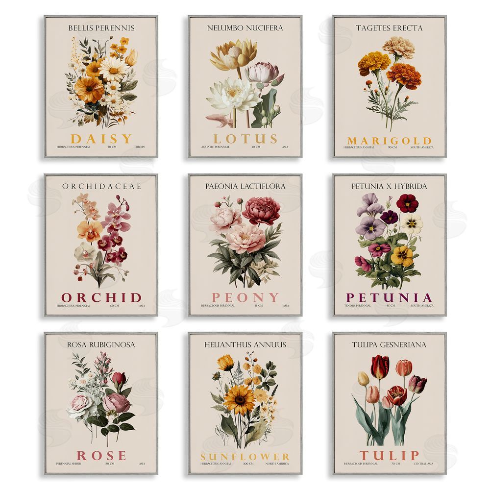 Christopher Giampietro Nature Botanicals Bundles Gray Framed Giclee Wall Art