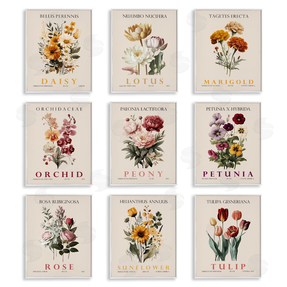 Christopher Giampietro Nature Botanicals Bundles White Framed Giclee Wall Art