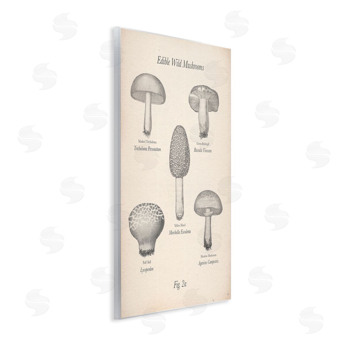 Edible Wild Mushrooms Vintage Wood Plaque Wall Art, Home Decor by The Saturday Evening Post