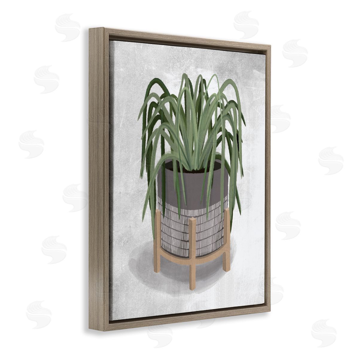 Spider Plant Grey Green Brown Floating Frame Canvas Wall Art, Home Decor by House Fenway