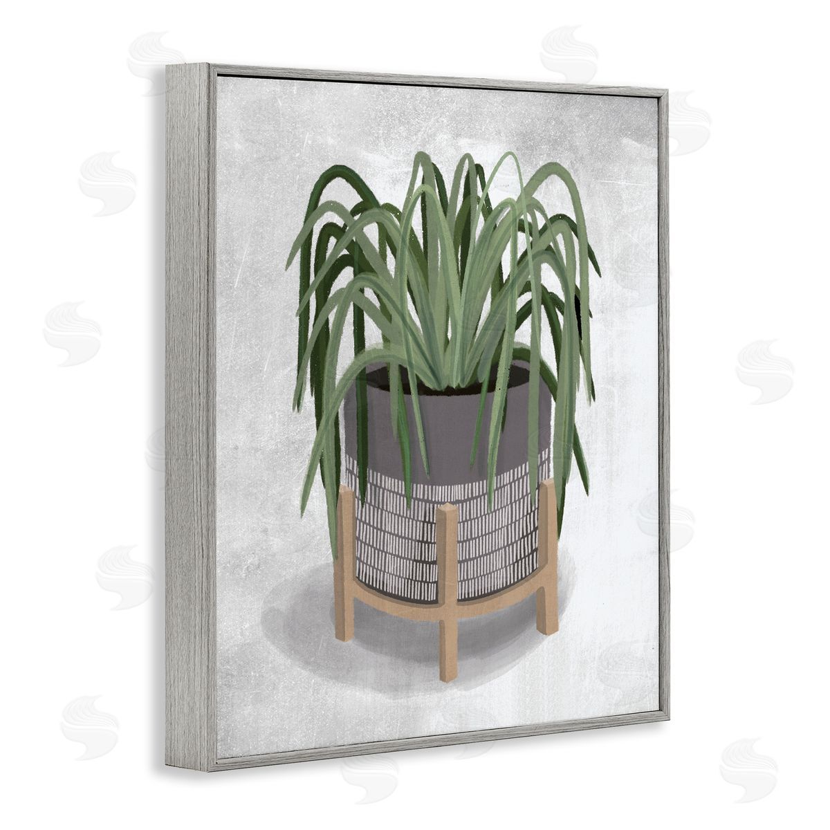 Spider Plant Grey Green Grey Frame Print Wall Art, Home Decor by House Fenway