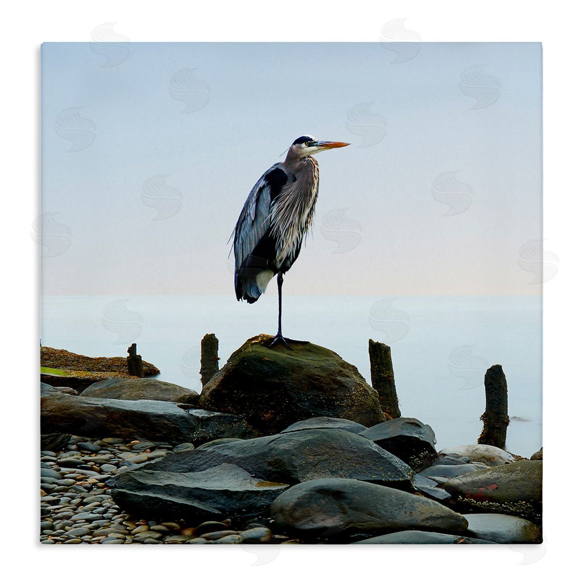 Beach Heron Ocean Bird Canvas Wall Art, Home Decor by James McLoughlin