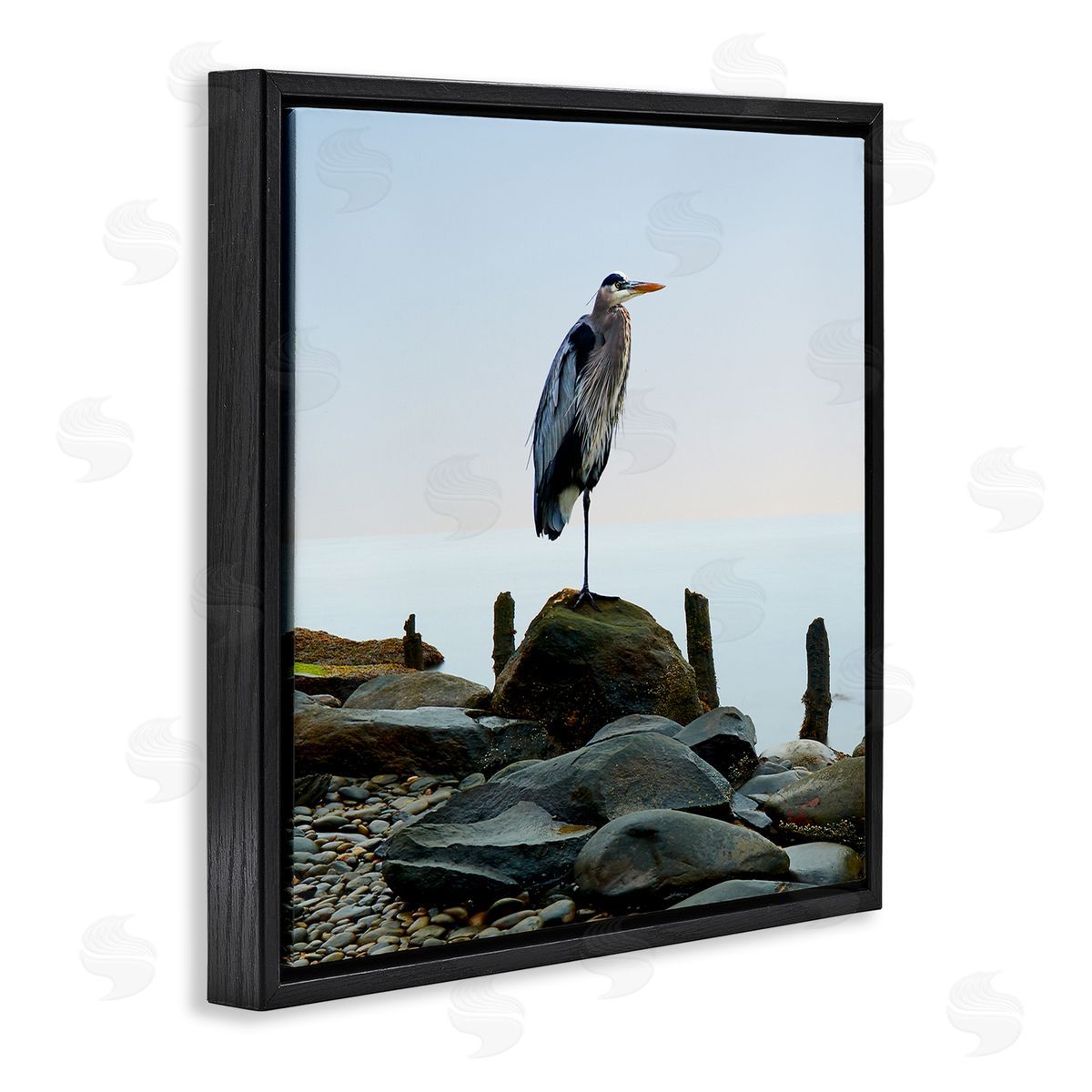 Beach Heron Ocean Bird Black Floating Frame Canvas Wall Art, Home Decor by James McLoughlin