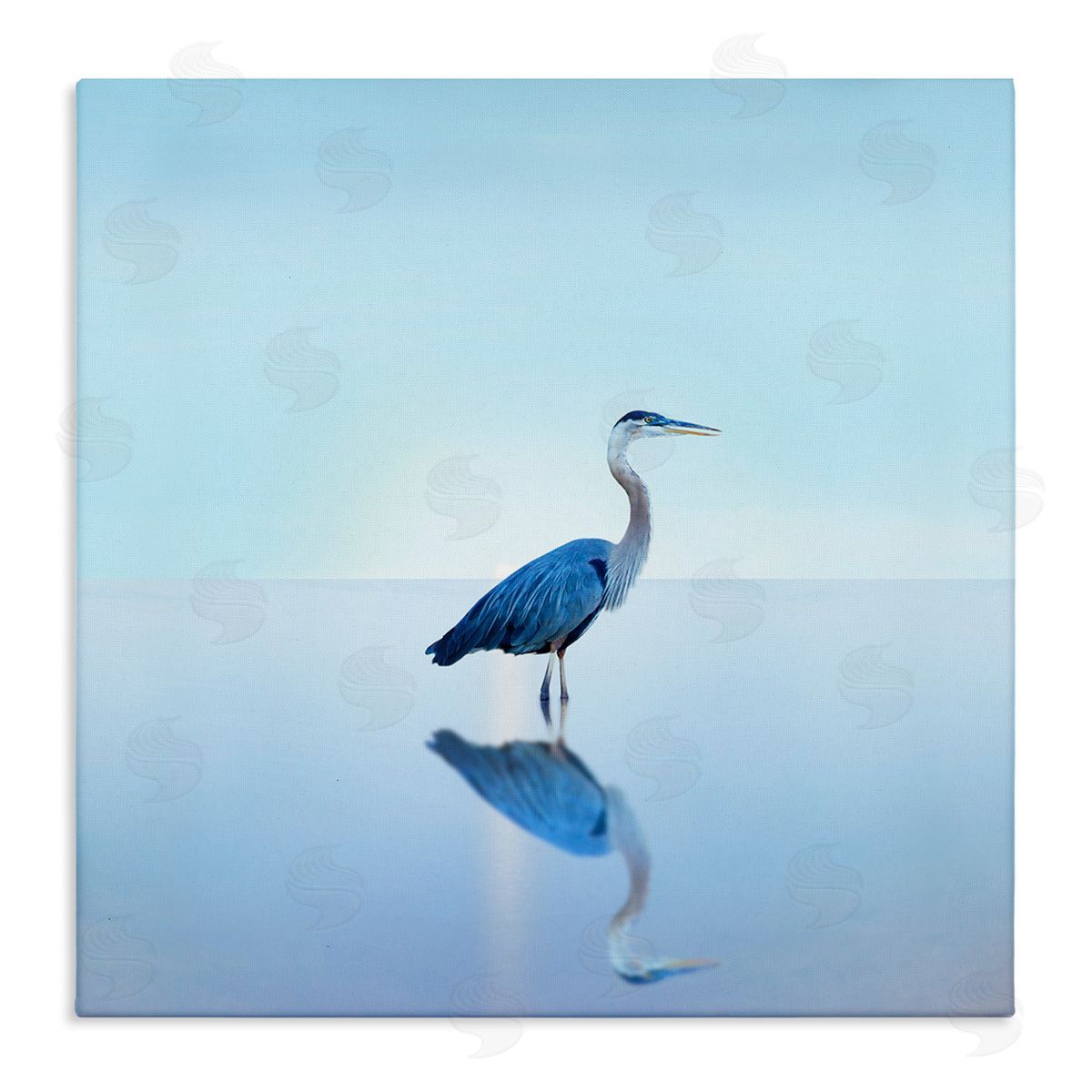 Beach Heron Bird Photograph Canvas Wall Art, Home Decor by James McLoughlin