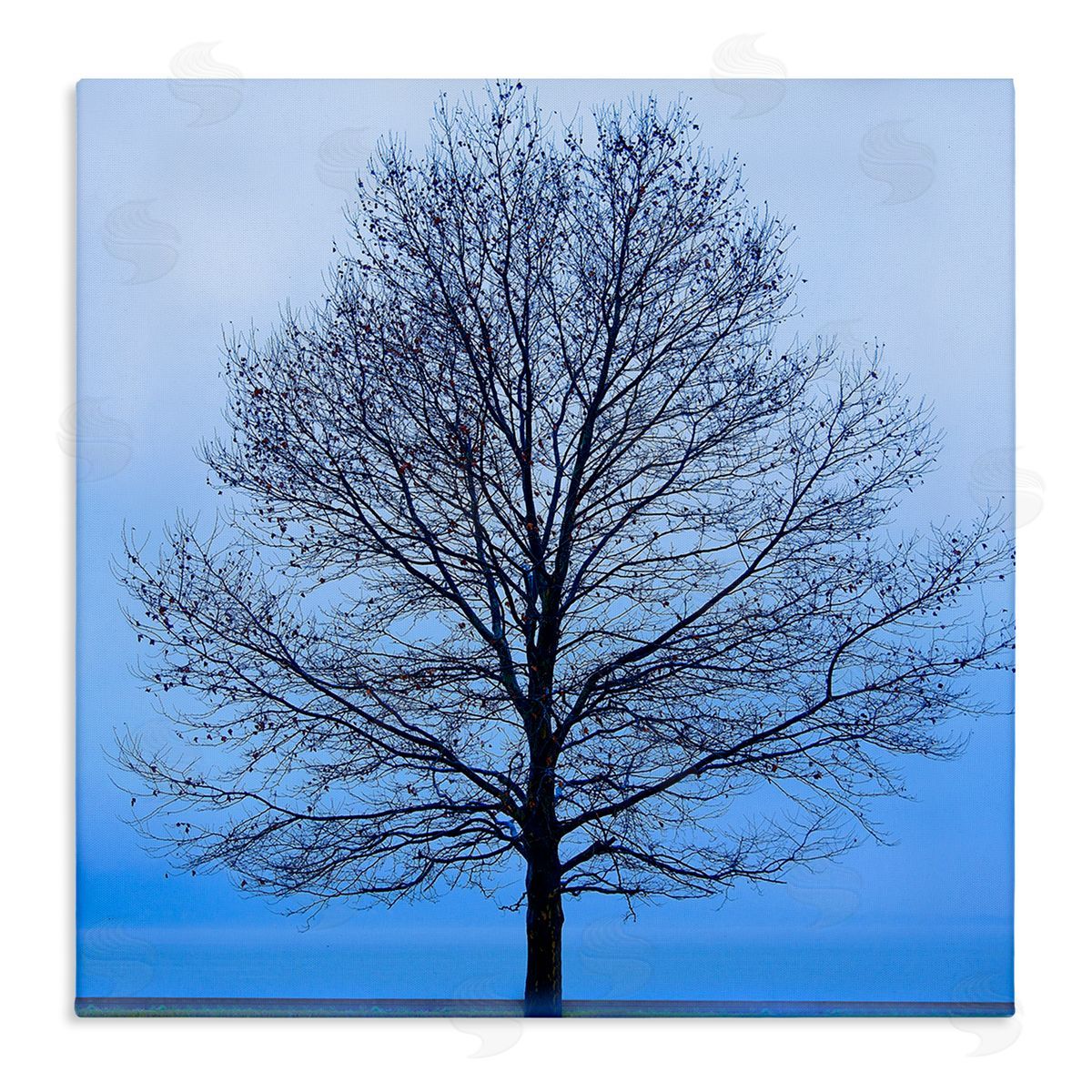 Winter Tree Blue Sky Canvas Wall Art, Home Decor by James McLoughlin