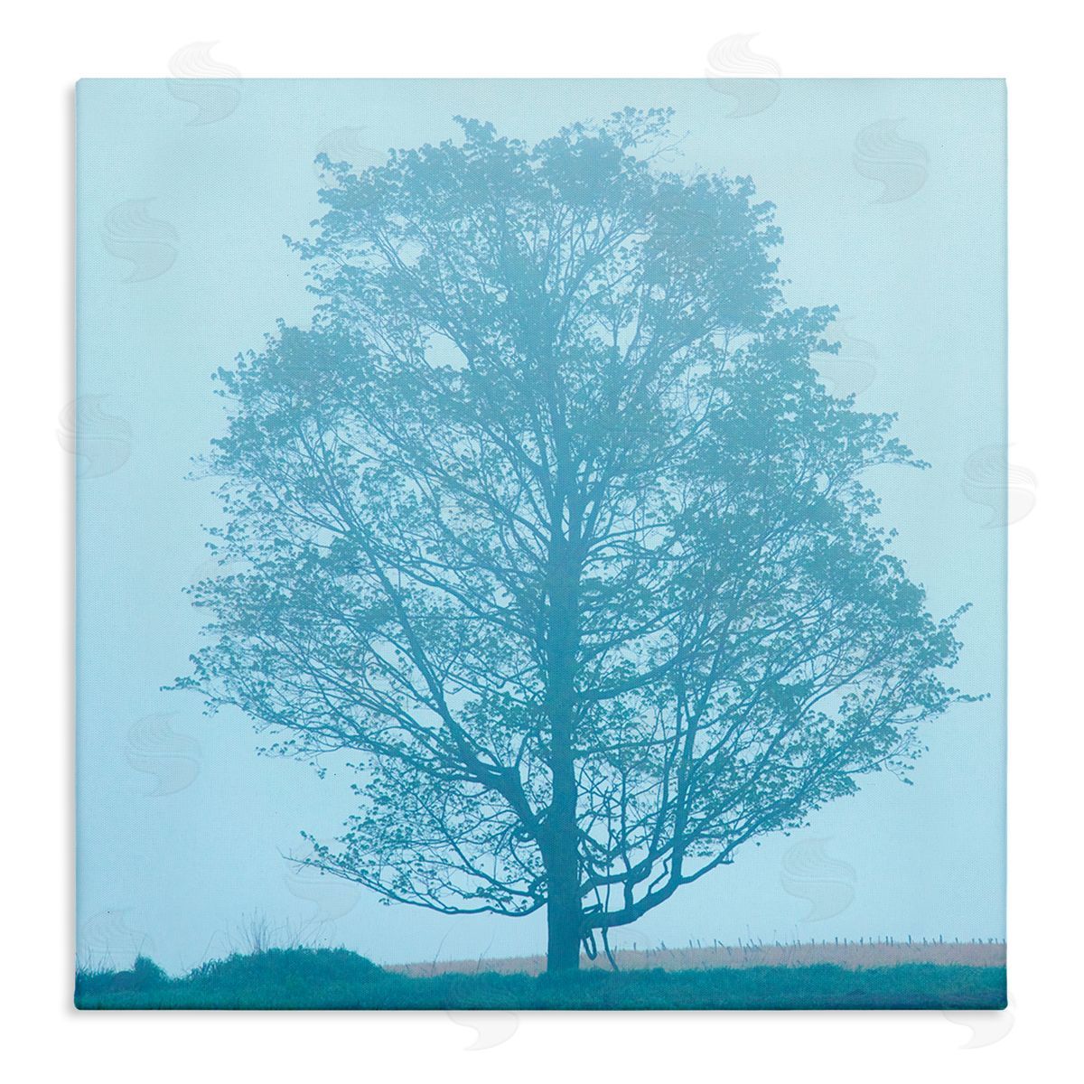 Spring Tree Blue Sky Canvas Wall Art, Home Decor by James McLoughlin