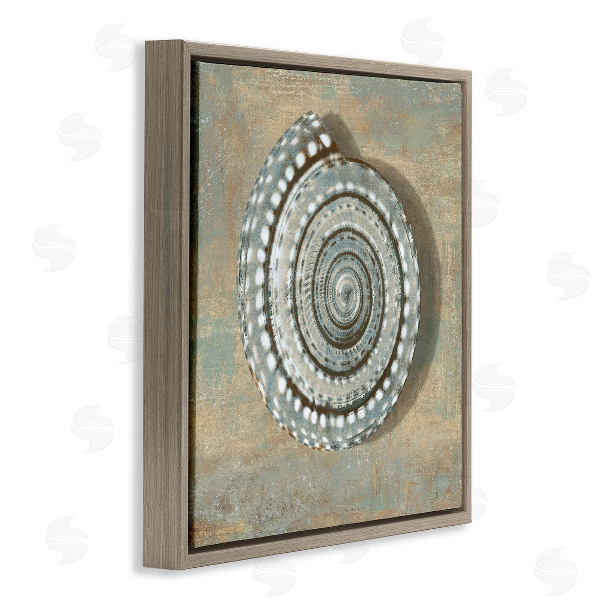 Spiral Shell Beach Objects Design Brown Floating Frame Canvas Wall Art, Home Decor by Christy McKee