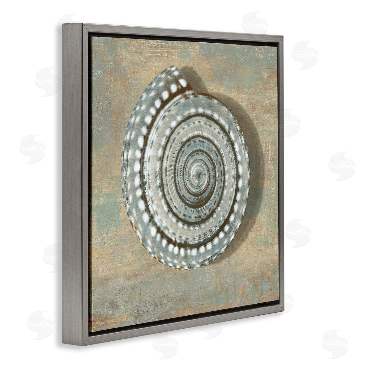 Spiral Shell Beach Objects Design Grey Floating Frame Canvas Wall Art, Home Decor by Christy McKee
