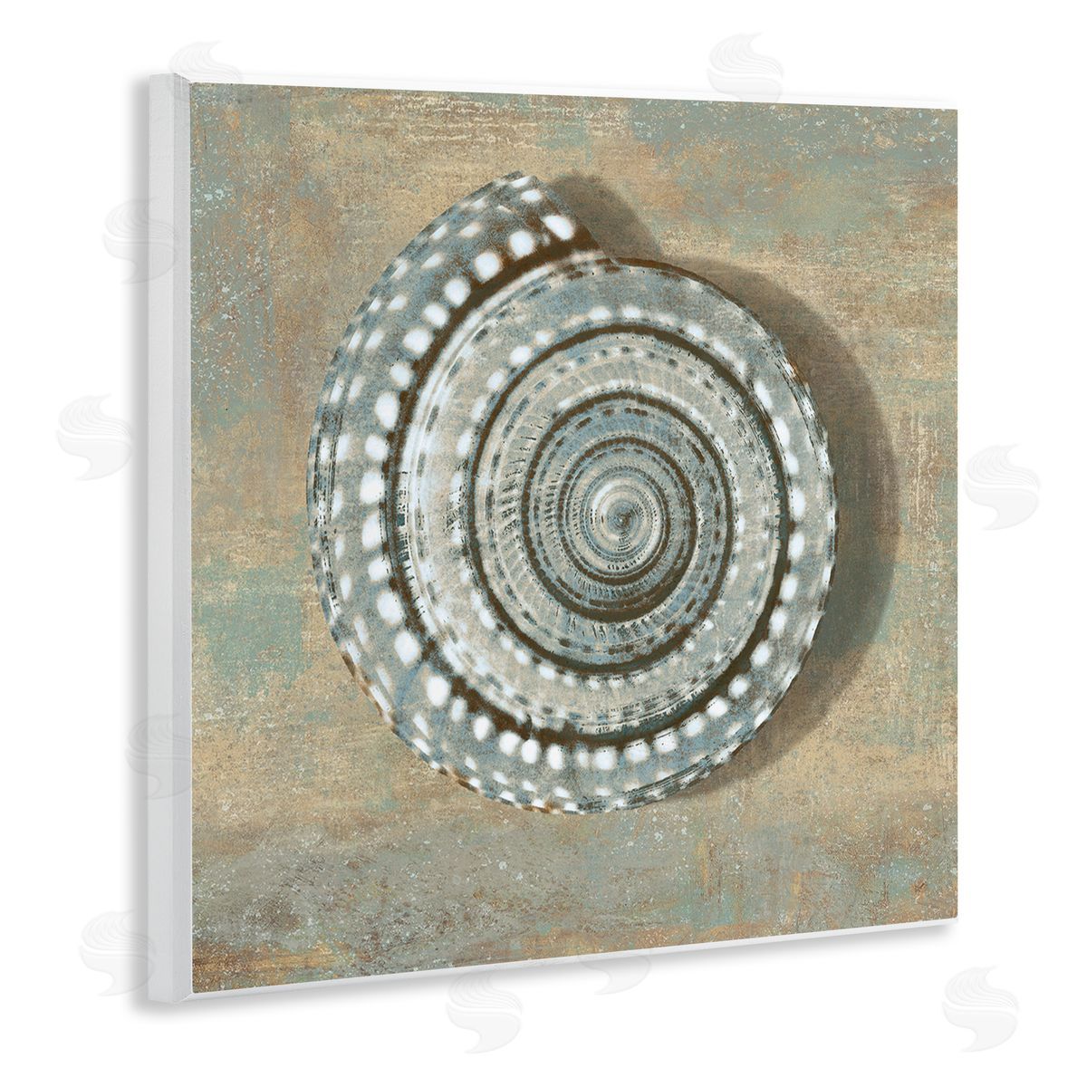Spiral Shell Beach Objects Design Wood Plaque Wall Art, Home Decor by Christy McKee