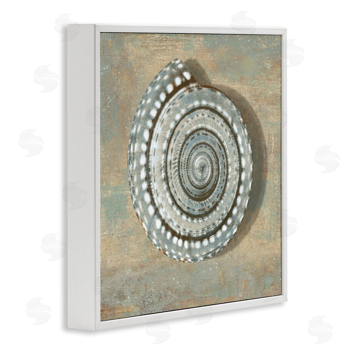 Spiral Shell Beach Objects Design White Frame Print Wall Art, Home Decor by Christy McKee