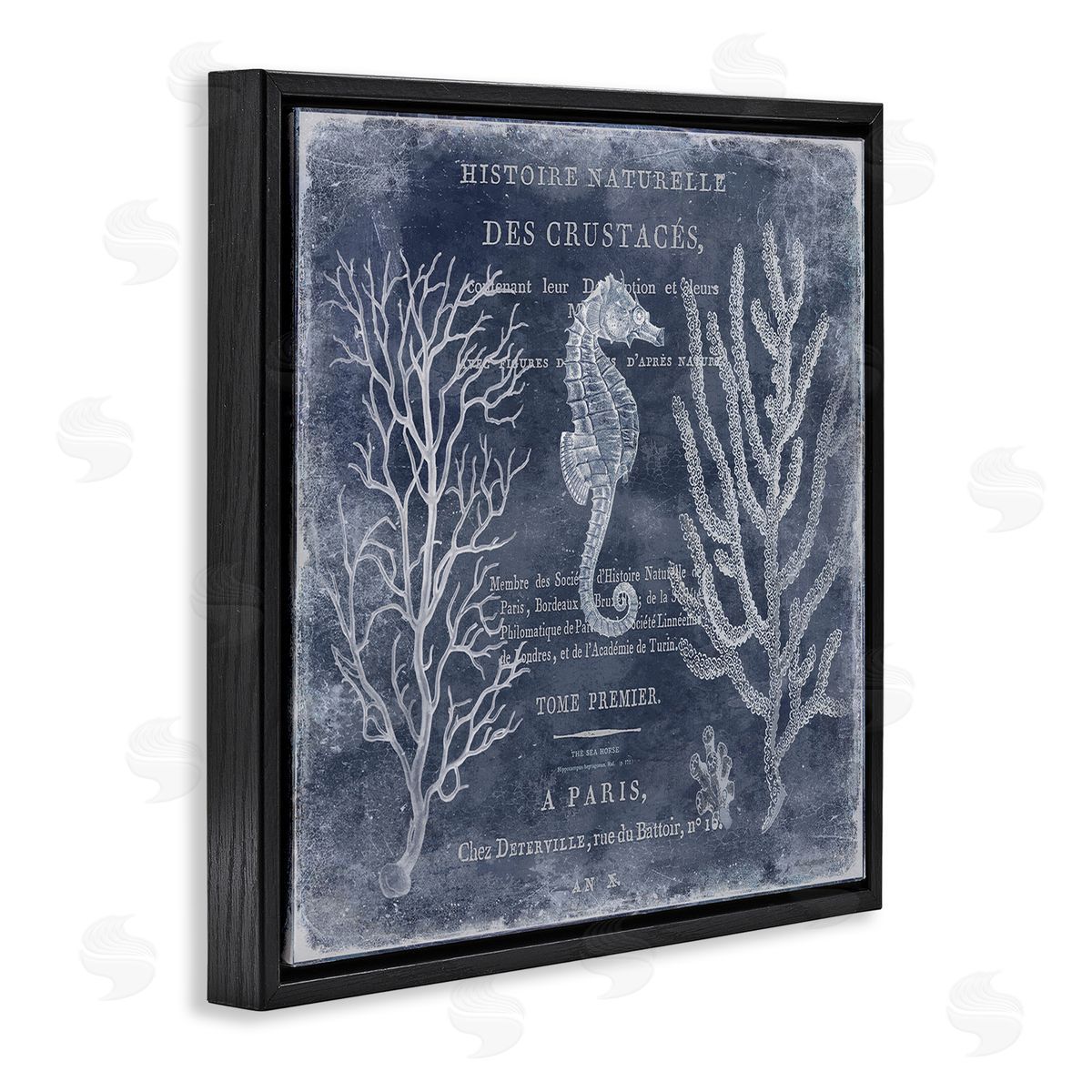 Vintage European Seahorse Black Floating Frame Canvas Wall Art, Home Decor by Deborah Devellier