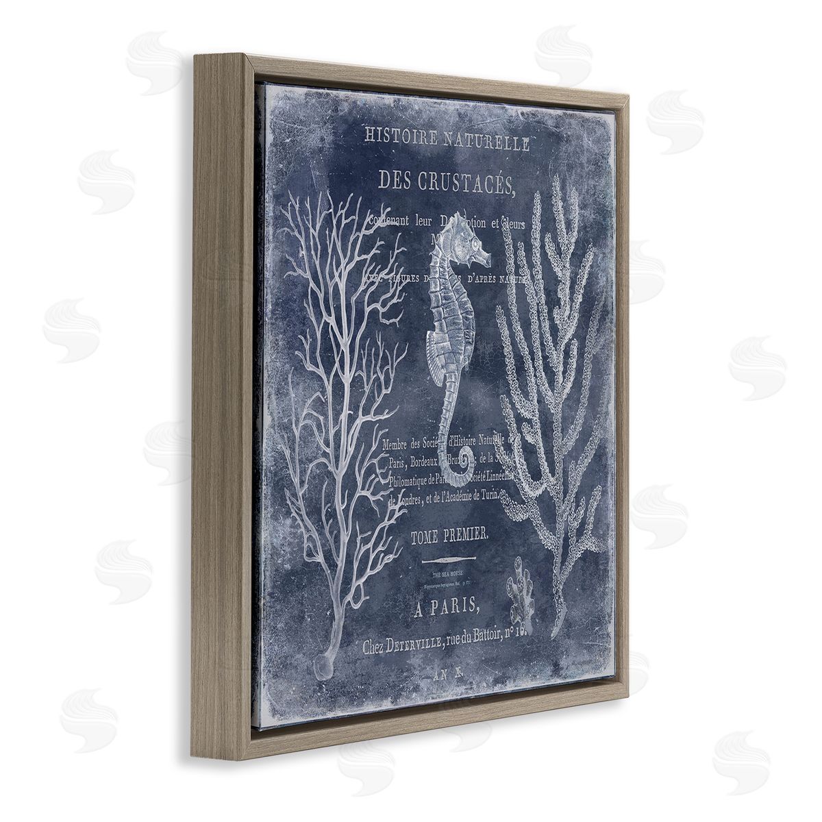 Vintage European Seahorse Brown Floating Frame Canvas Wall Art, Home Decor by Deborah Devellier