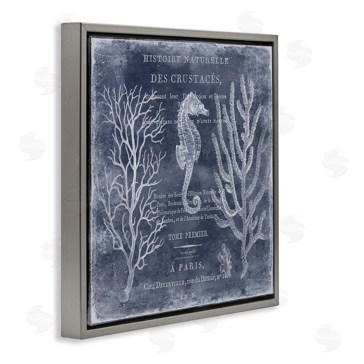 Vintage European Seahorse Grey Floating Frame Canvas Wall Art, Home Decor by Deborah Devellier