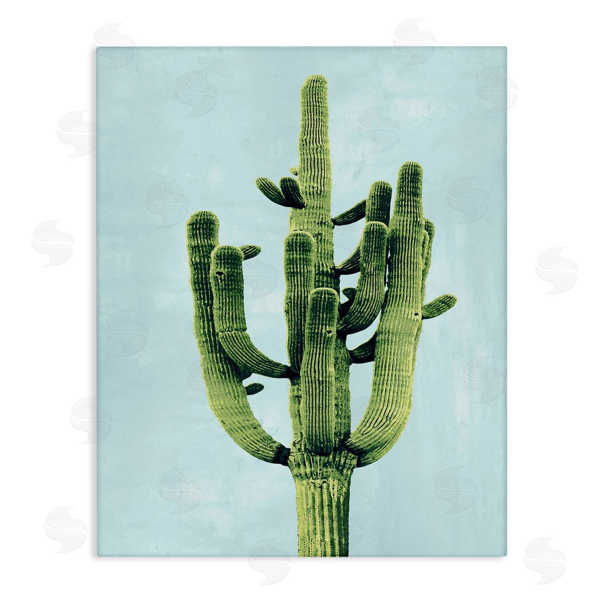 Desert Cactus over Pastel Blue Canvas Wall Art, Home Decor by Mia Jensen