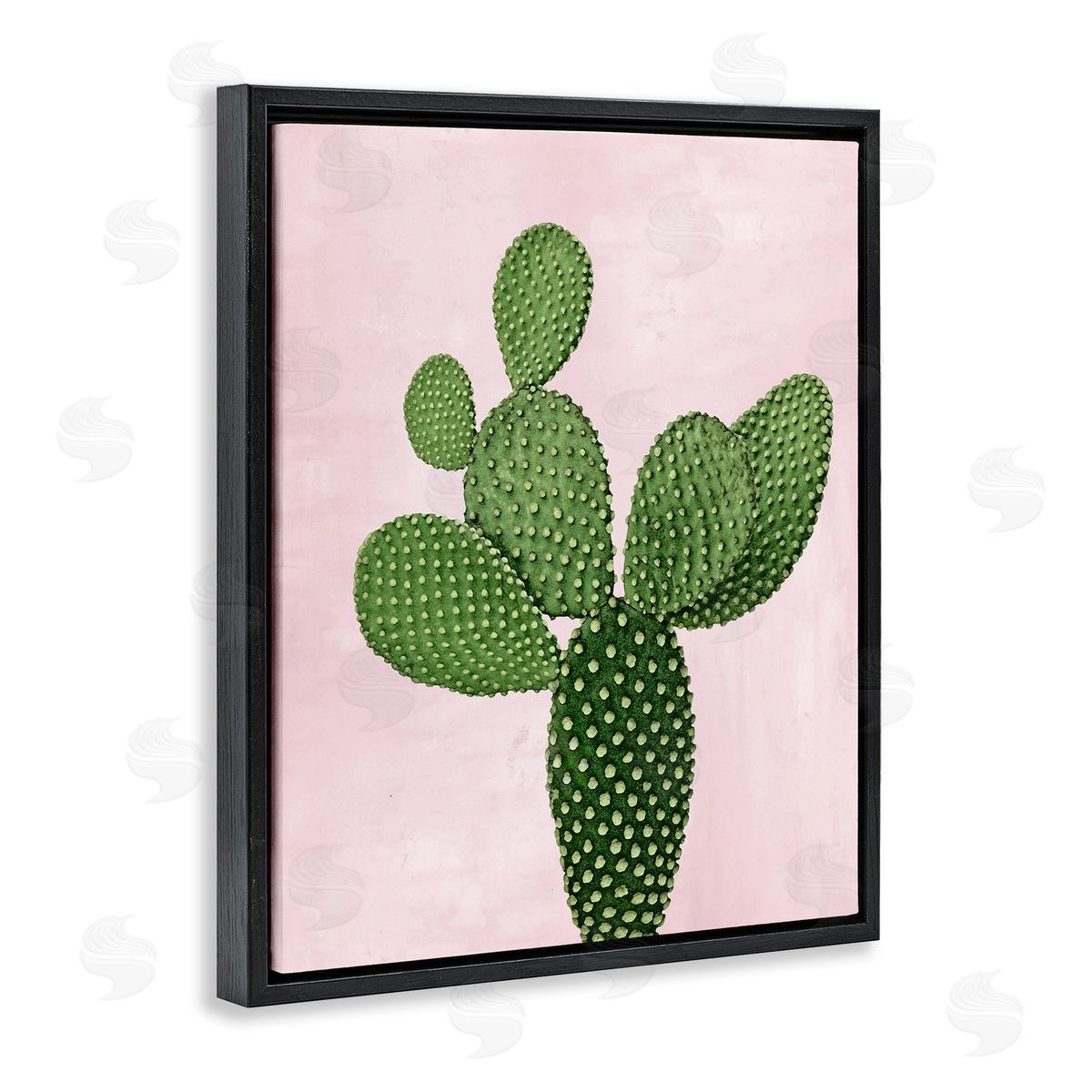 Prickly Pear over Pastel Pink Black Floating Frame Canvas Wall Art, Home Decor by Mia Jensen