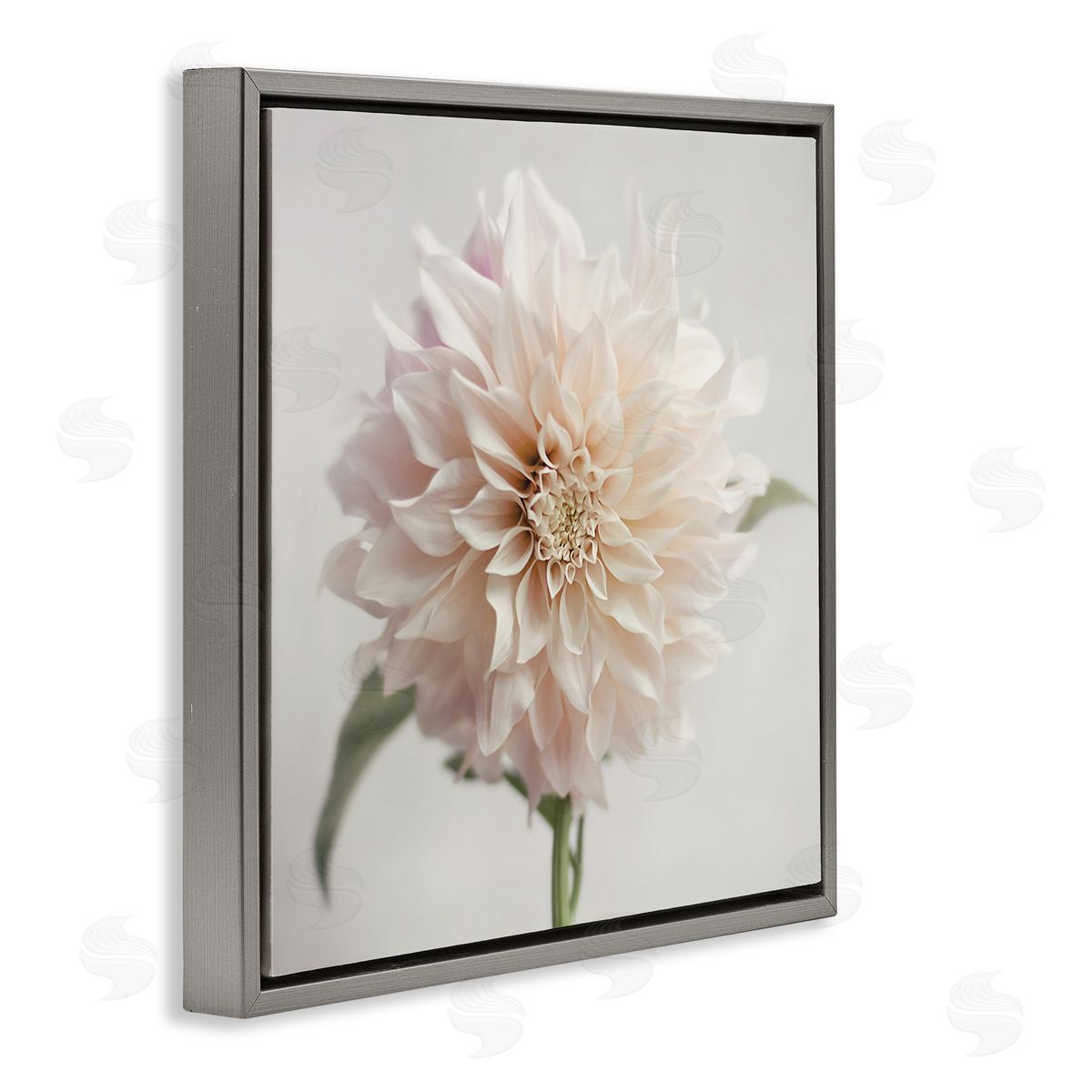 Pink Dahlia Floral Close Up Grey Floating Frame Canvas Wall Art, Home Decor by Sarah Jane