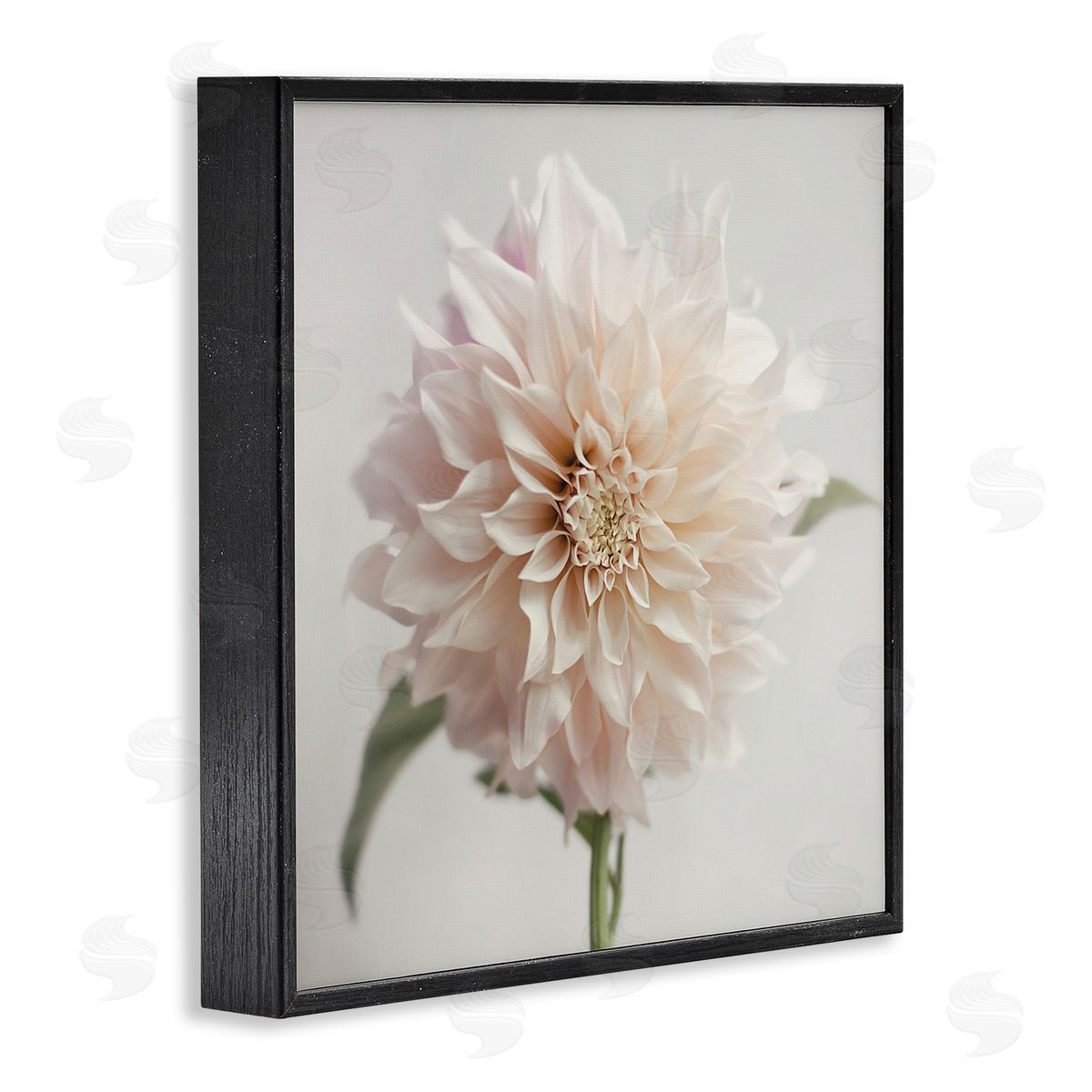 Pink Dahlia Floral Close Up Black Frame Print Wall Art, Home Decor by Sarah Jane