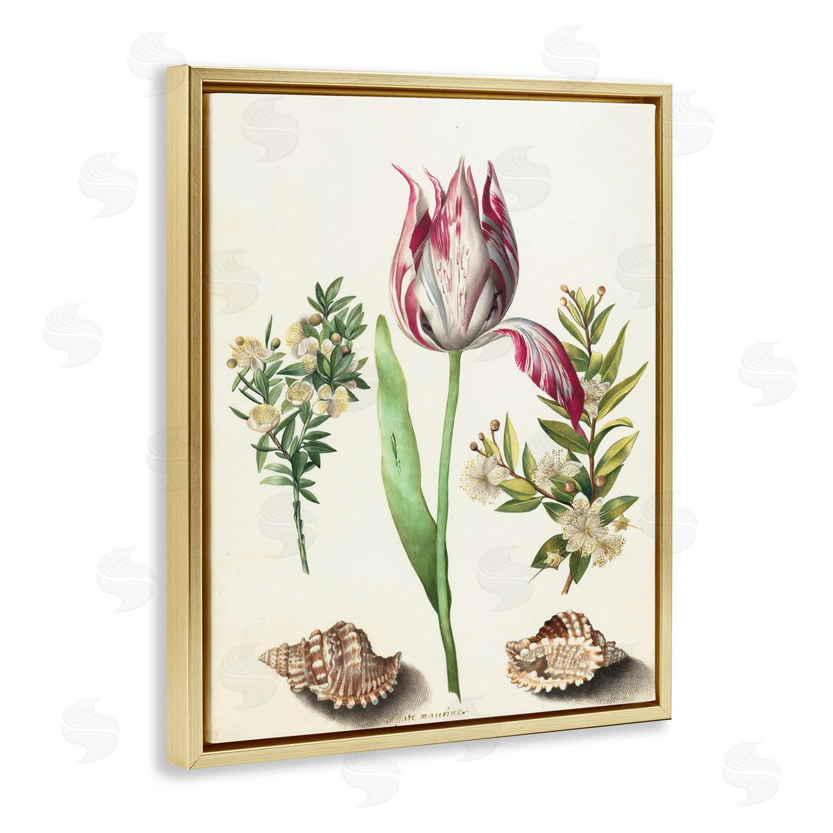 Pink Tulip with Sea Shells Gold Floating Frame Canvas Wall Art, Home Decor by Ziwei Li
