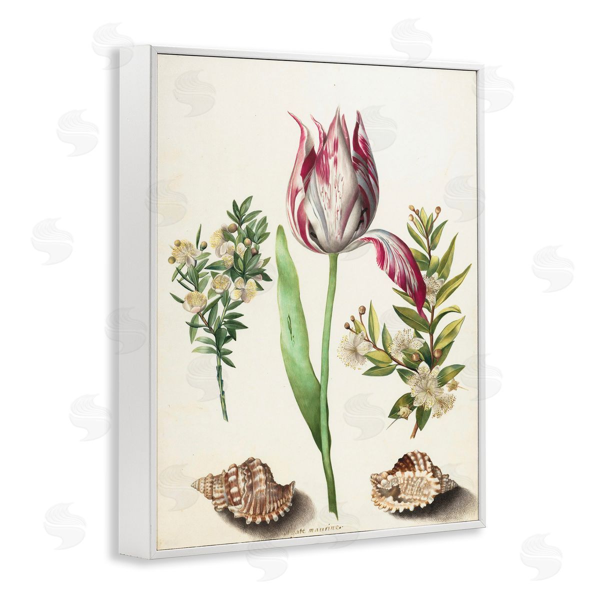 Pink Tulip with Sea Shells White Frame Print Wall Art, Home Decor by Ziwei Li