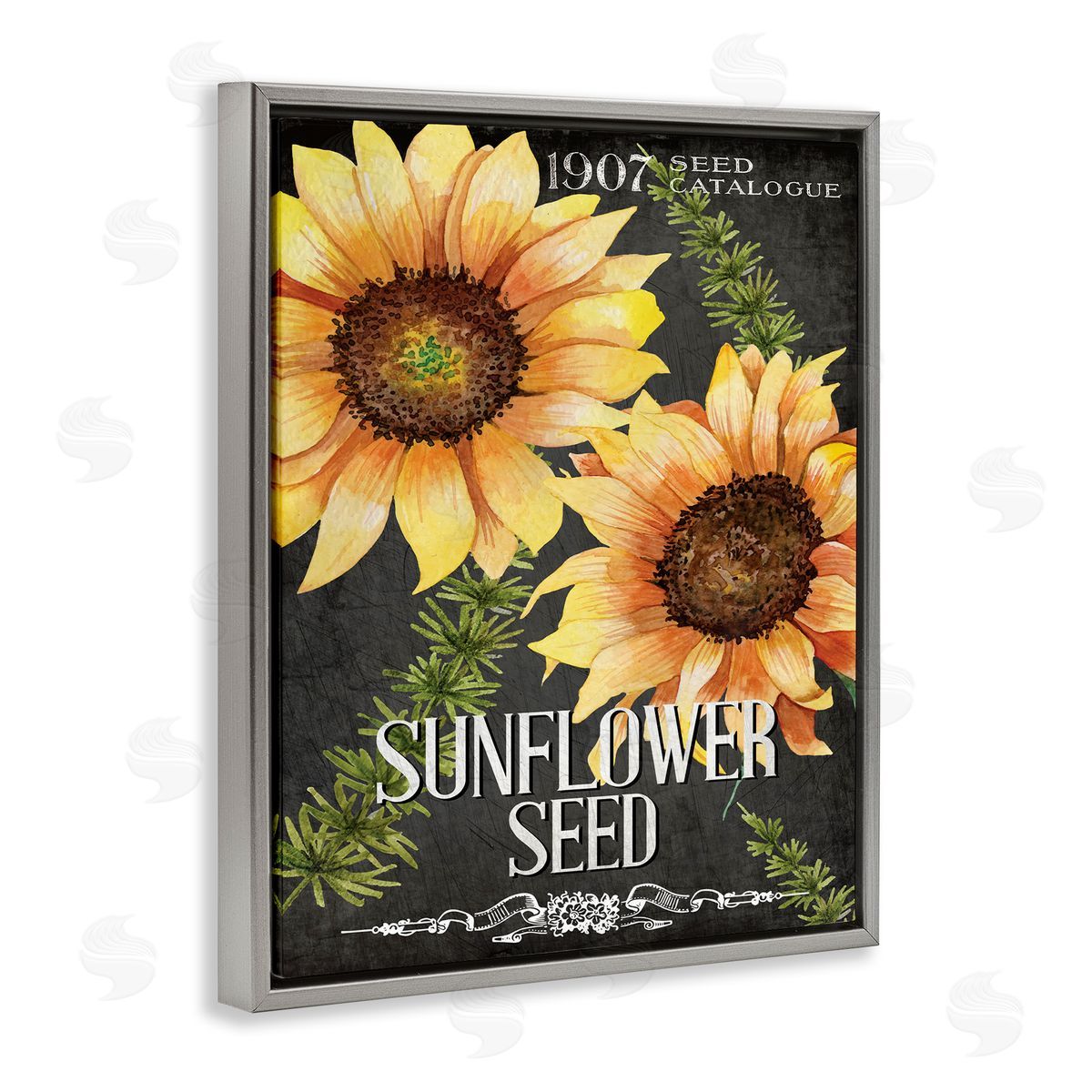 Sunflower Seed Vintage Poster Grey Floating Frame Canvas Wall Art, Home Decor by Kim Allen