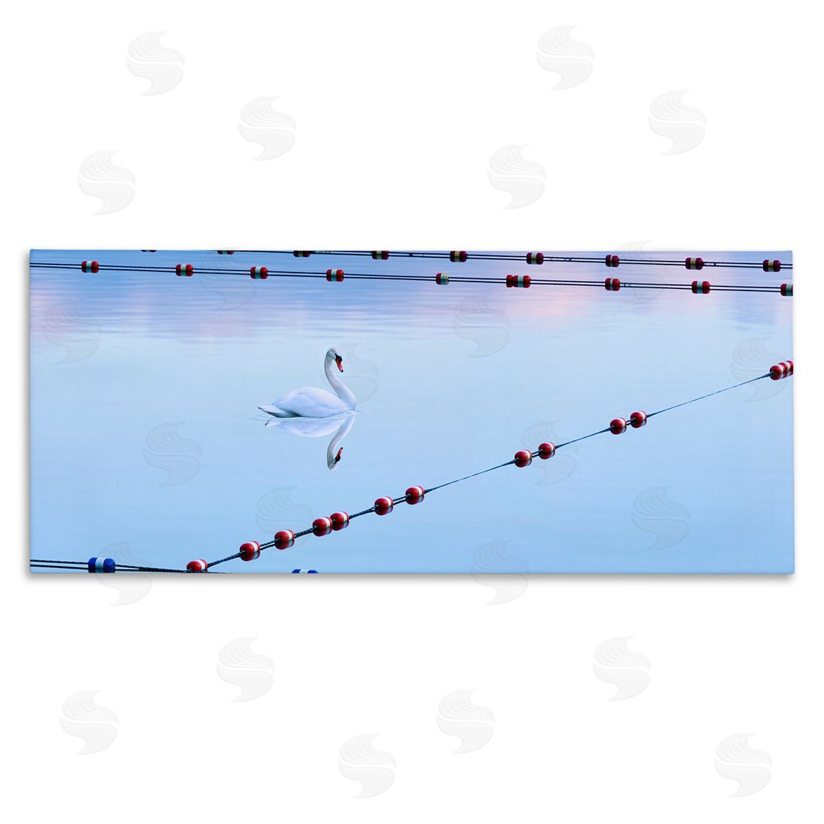 Swan Between Lake Buoys Canvas Wall Art, Home Decor by James McLoughlin