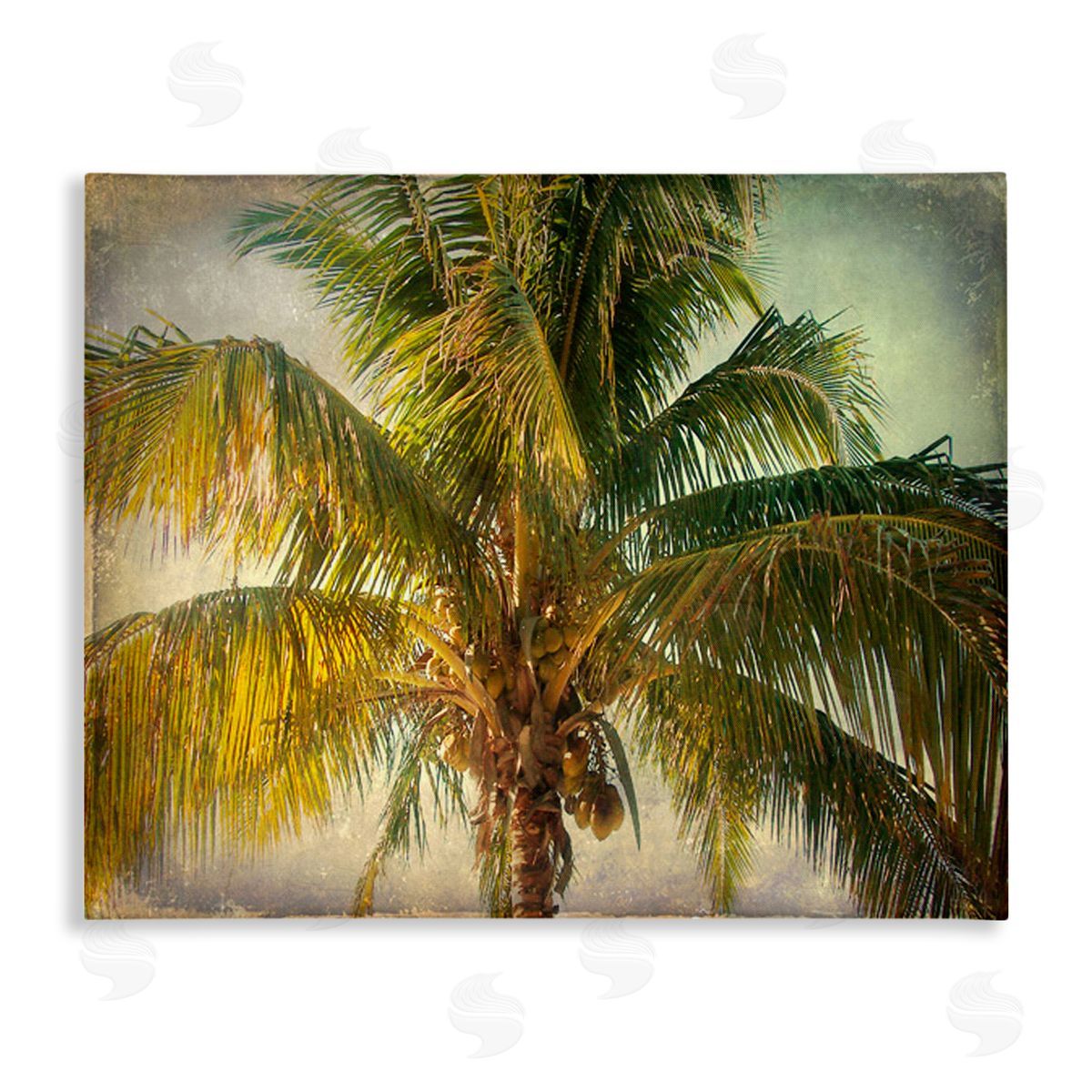 Tropical Summer Palm Tree Canvas Wall Art, Home Decor by Ashley Calhoun