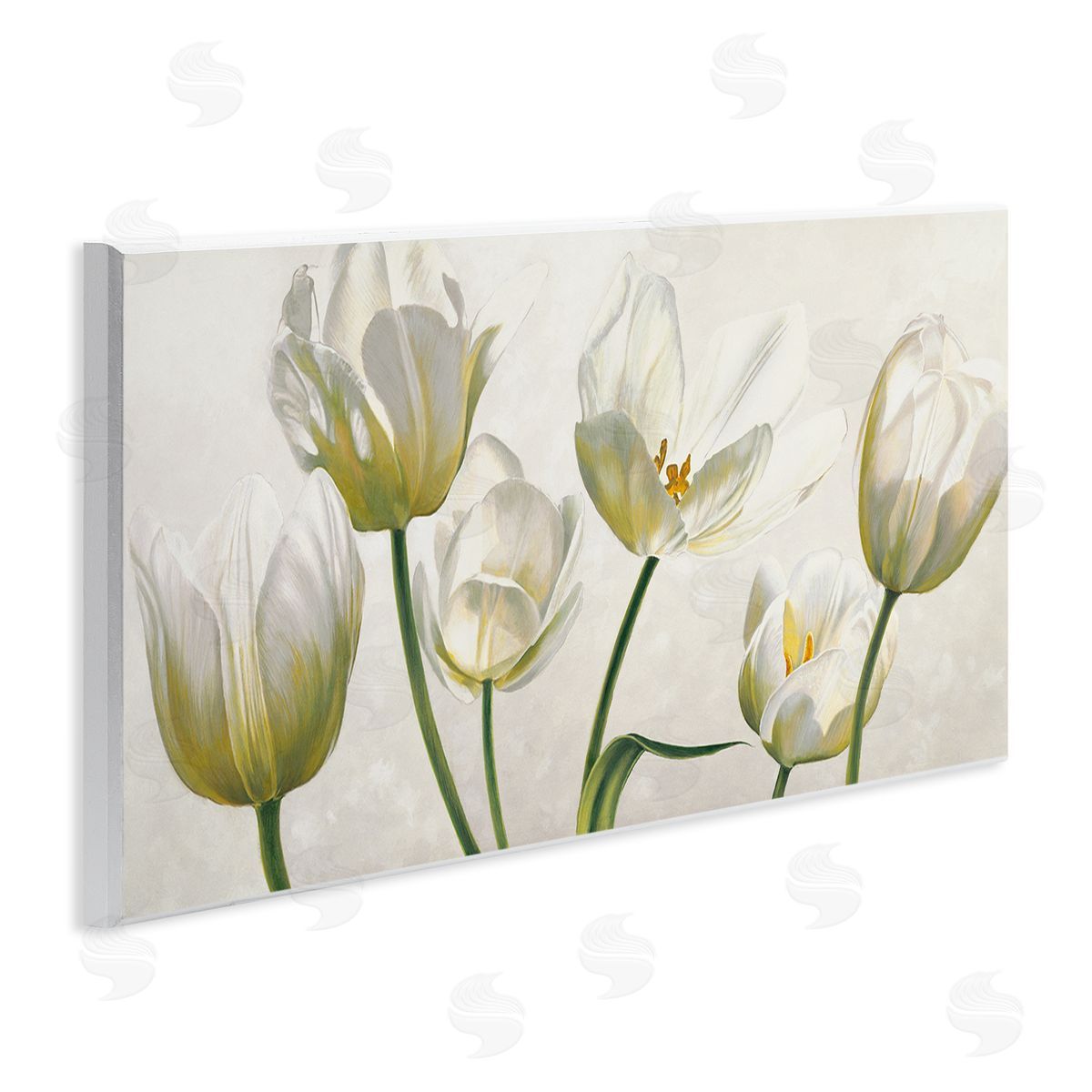 Soft White Blooming Tulips Wood Plaque Wall Art, Home Decor by Eva Barberini