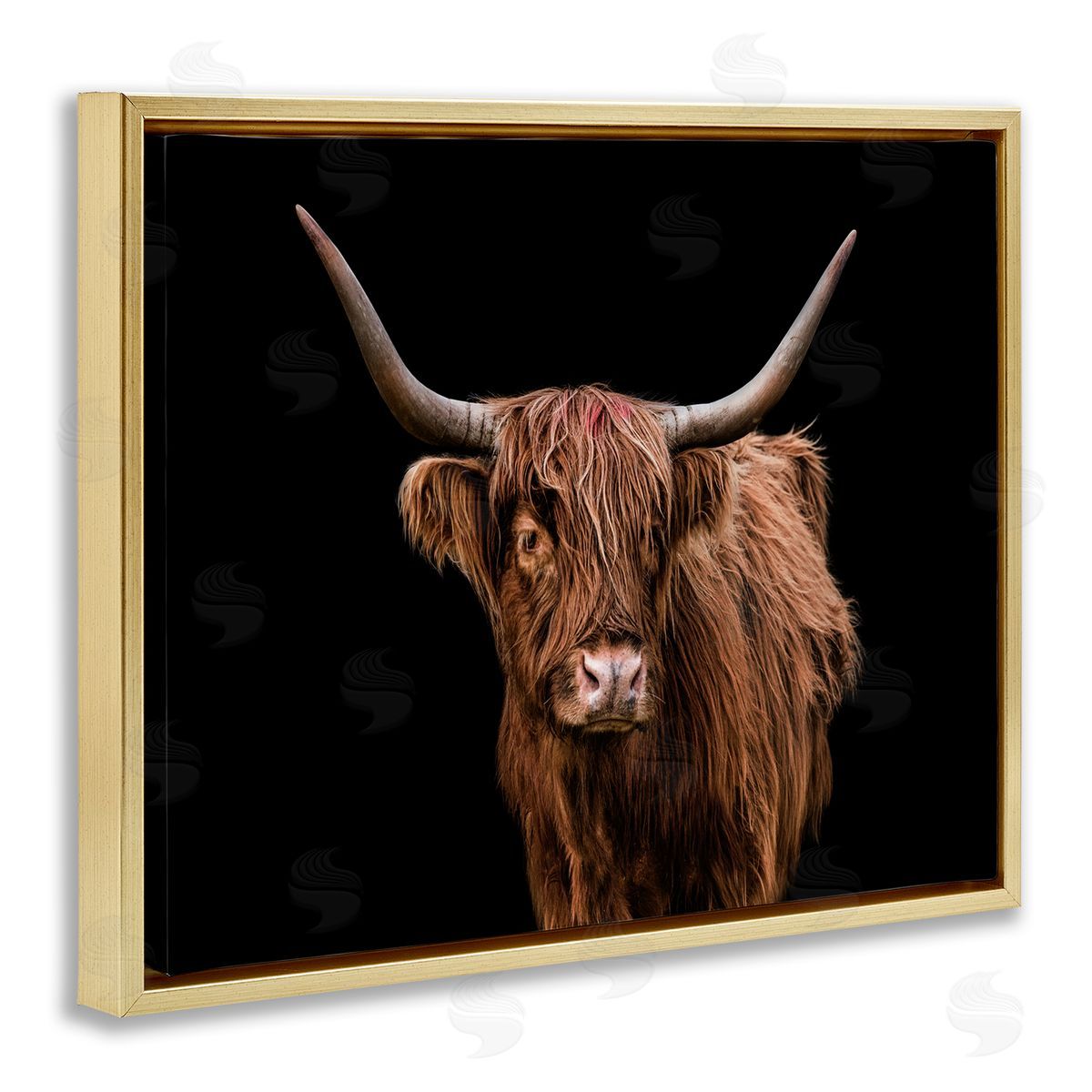 Cattle Portrait over Black Gold Floating Frame Canvas Wall Art, Home Decor by Marika Moffit