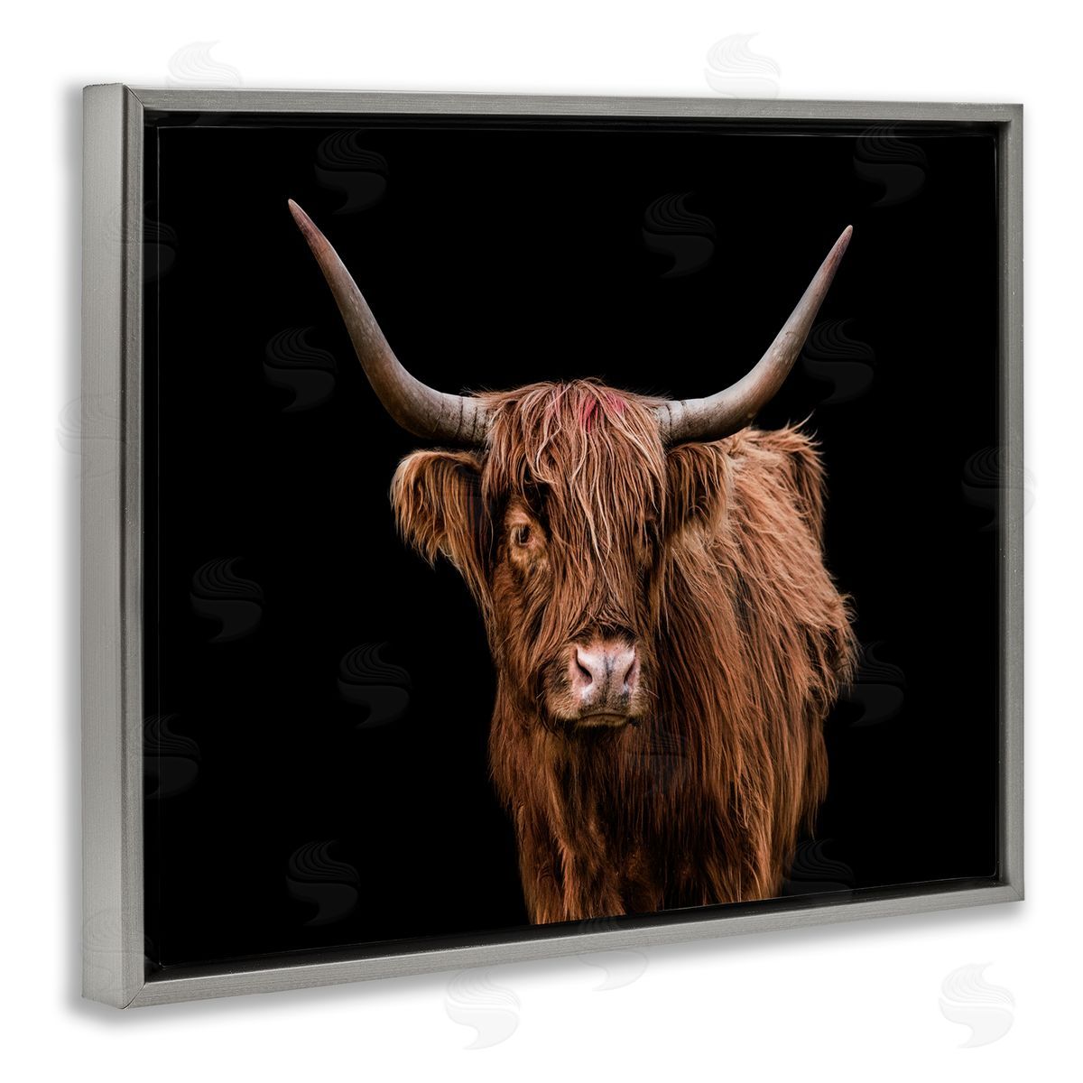 Cattle Portrait over Black Grey Floating Frame Canvas Wall Art, Home Decor by Marika Moffit