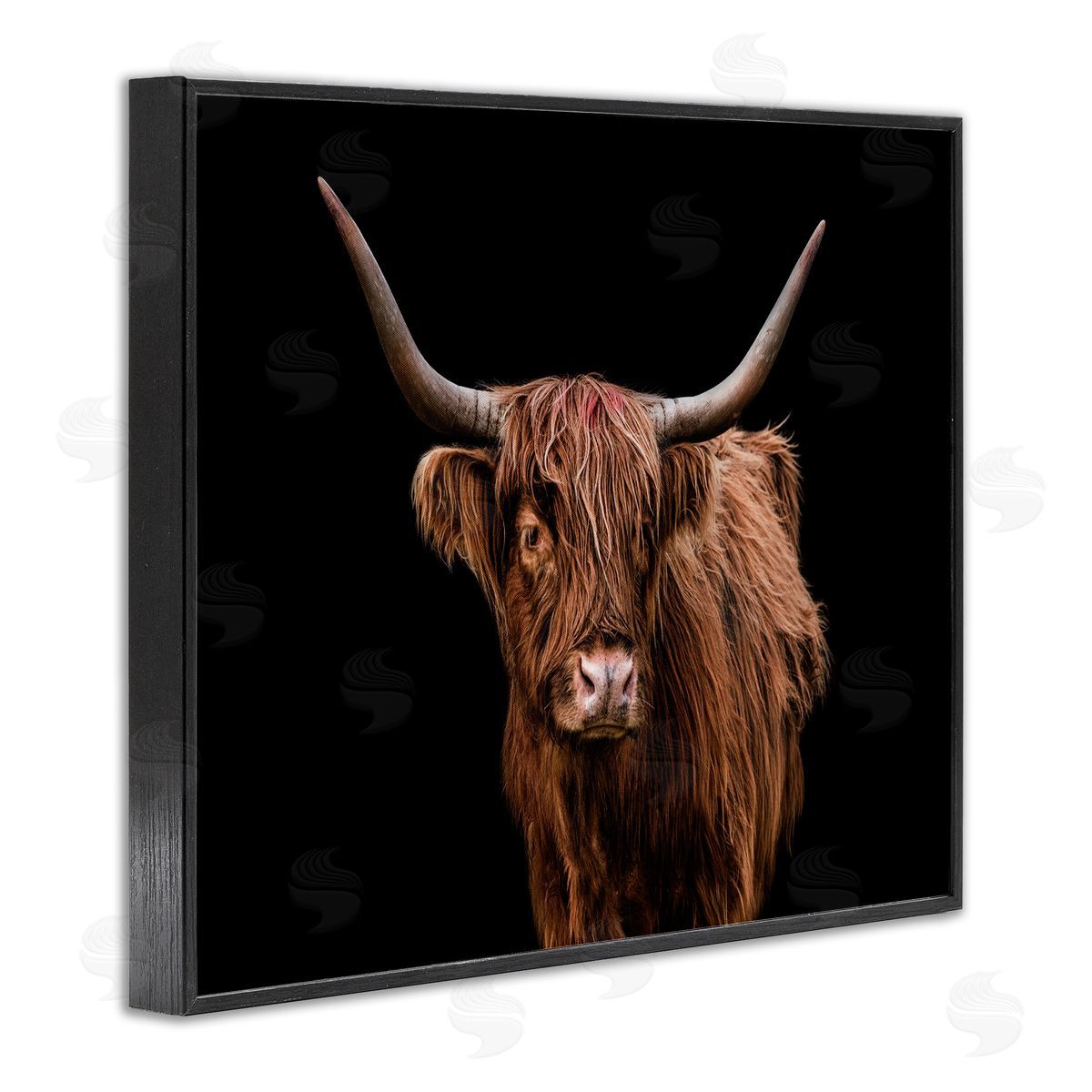 Cattle Portrait over Black Black Frame Print Wall Art, Home Decor by Marika Moffit