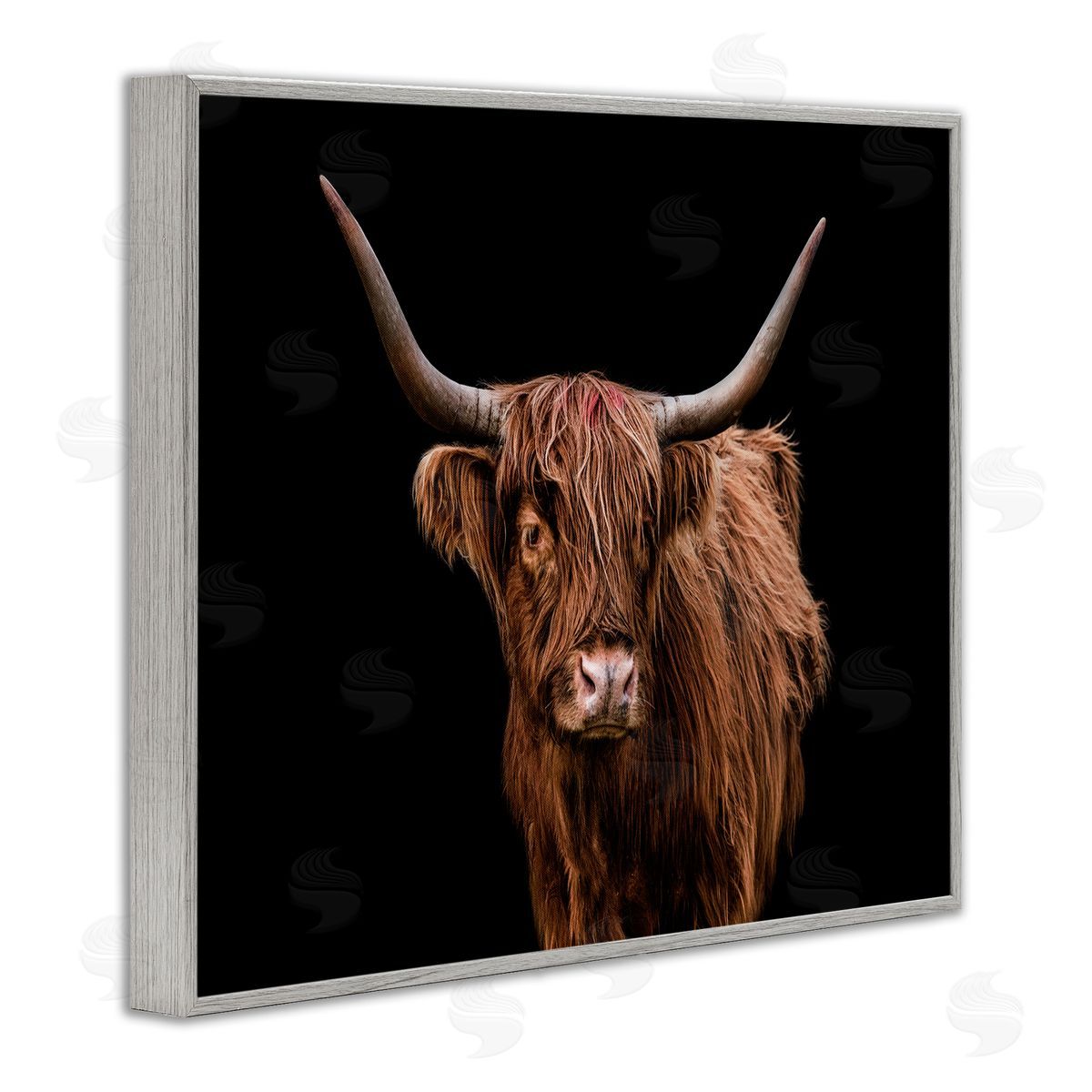 Cattle Portrait over Black Grey Frame Print Wall Art, Home Decor by Marika Moffit