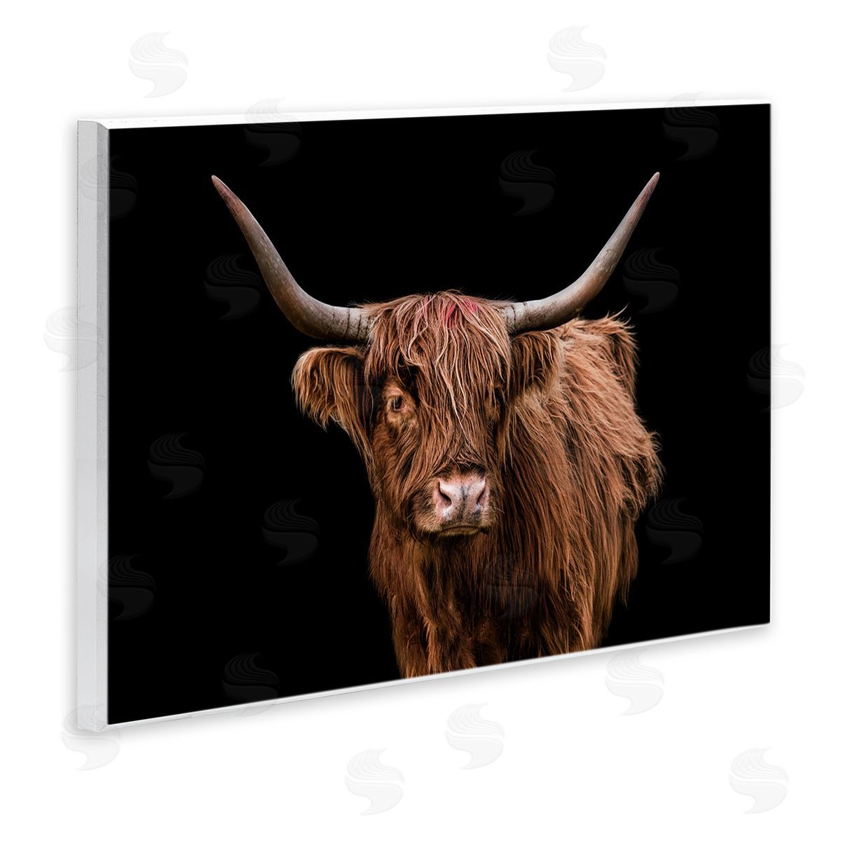 Cattle Portrait over Black Wood Plaque Wall Art, Home Decor by Marika Moffit