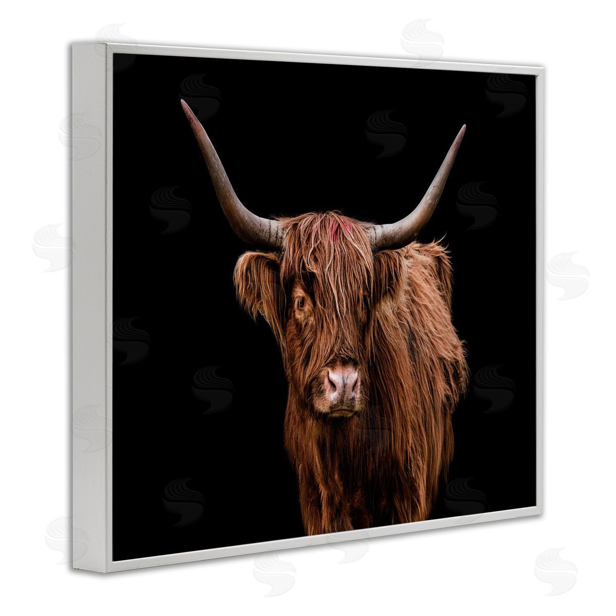 Cattle Portrait over Black White Frame Print Wall Art, Home Decor by Marika Moffit