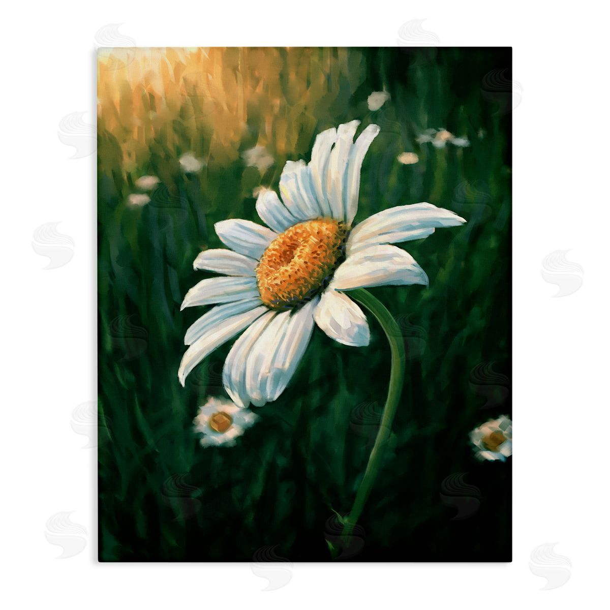 Daisy in Green Field Canvas Wall Art, Home Decor by Ziwei Li