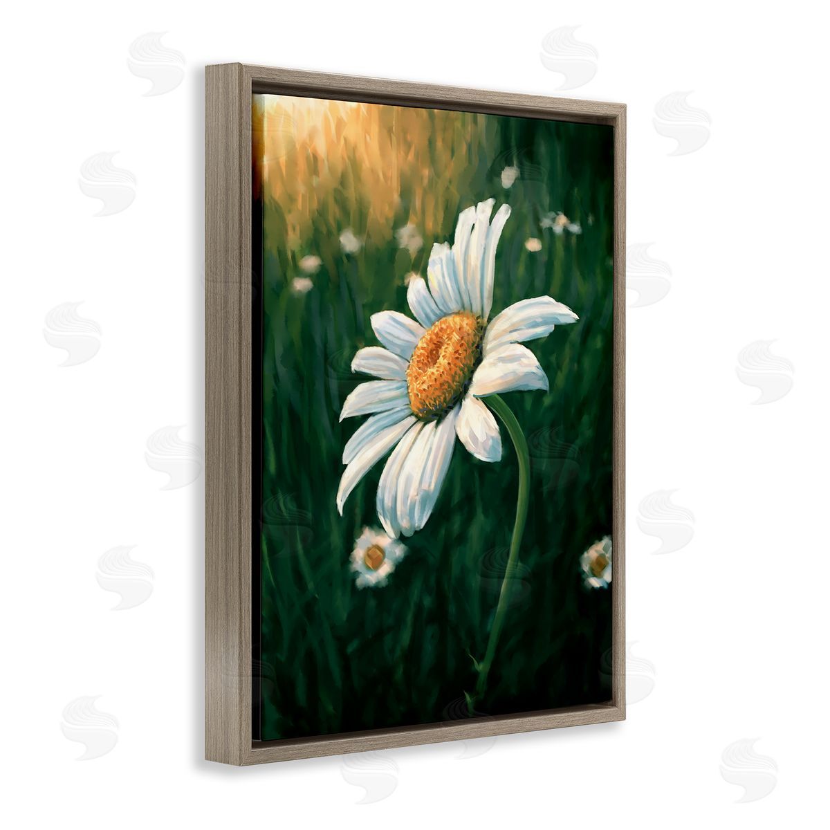 Daisy in Green Field Brown Floating Frame Canvas Wall Art, Home Decor by Ziwei Li