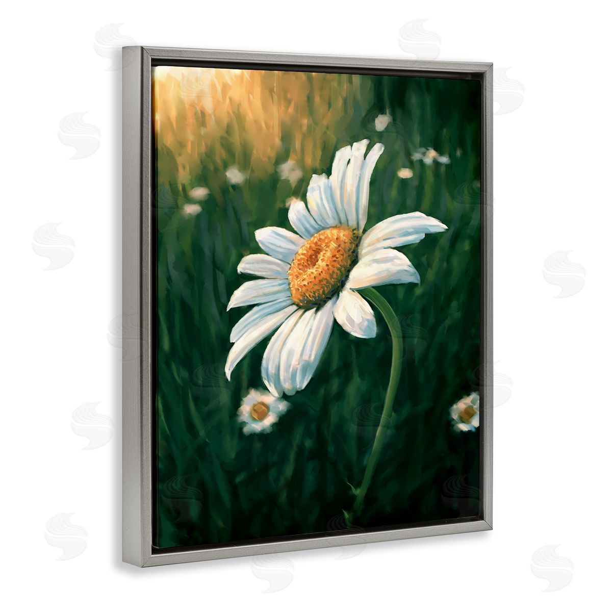 Daisy in Green Field Grey Floating Frame Canvas Wall Art, Home Decor by Ziwei Li