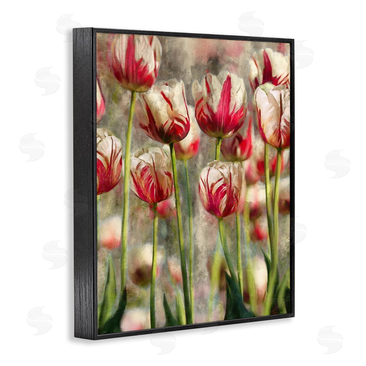 Pink and White Tulips Black Frame Print Wall Art, Home Decor by Ziwei Li