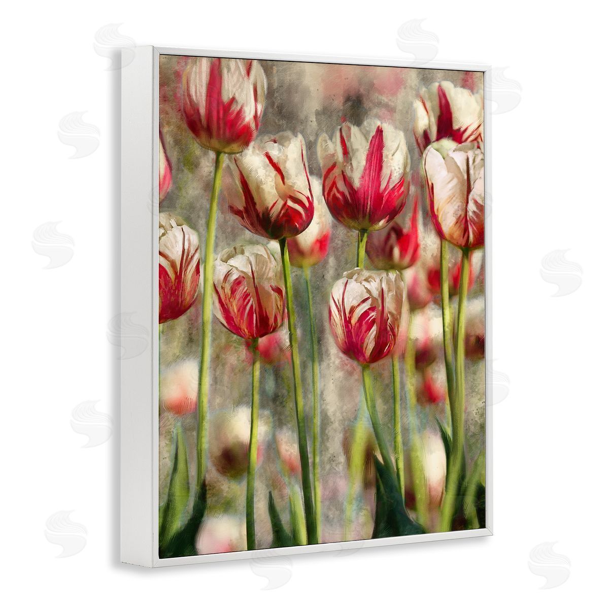 Pink and White Tulips White Frame Print Wall Art, Home Decor by Ziwei Li