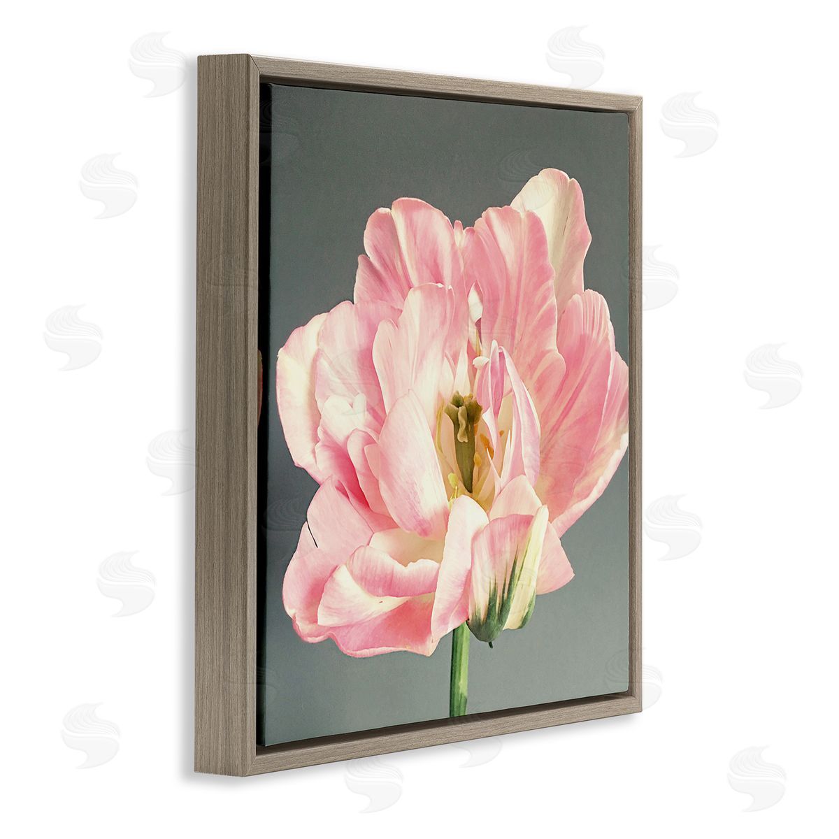 Pink Floral Close-Up Brown Floating Frame Canvas Wall Art, Home Decor by Sarah Jane